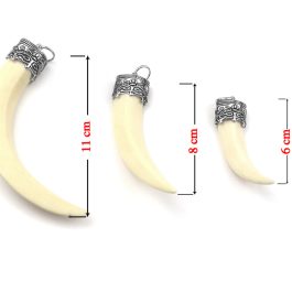 MD209 Mặt dây chuyền nanh heo giả đầu chụp titan xin sò