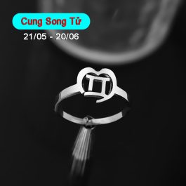 HD002 Nhẫn inox cung hoàng đạo song tử Gemini
