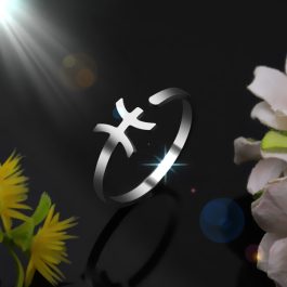 HD202 Nhẫn inox 12 cung hoàng đạo – song ngư pisces 19/2 đến 20/3