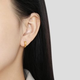 TB251 Bông tai nữ titan khoen tròn 3ly quả trám