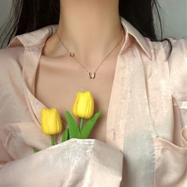 TN014 Dây chuyền titan con bướm cách điệu