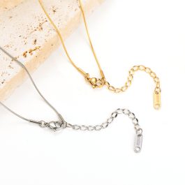 TN676 Dây chuyền sợi mì titan trơn không mặt