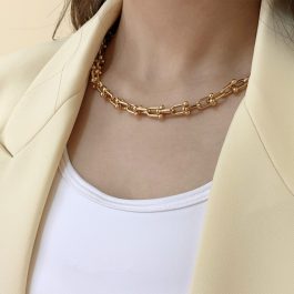 TN431 Dây chuyền nữ titan Tiffany
